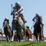 Ag Bullet Climbs into Top 10 on Equibase Leaderboard, Pletcher Joins Elite Five